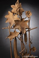 絲瓜綿綿藏品圖，第2張