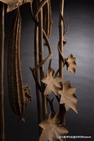 絲瓜綿綿藏品圖，第5張