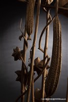 絲瓜綿綿藏品圖，第6張