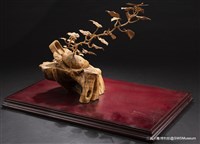 延生藏品圖，第1張