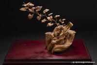 延生藏品圖，第6張