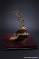 延生藏品圖，第9張