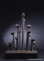 掙扎藏品圖，第2張
