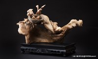 親情藏品圖，第2張