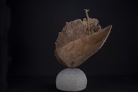 雕刻時光藏品圖，第3張
