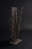 共生狀態藏品圖，第2張