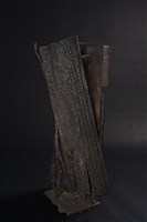 共生狀態藏品圖，第4張