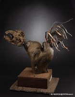 啼藏品圖，第2張