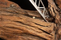 轟台藏品圖，第3張