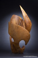 迸開的種子藏品圖，第3張