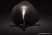 大長舌的圖片