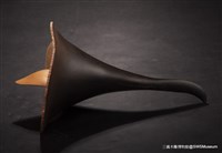 大長舌藏品圖，第3張