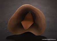 大長舌藏品圖，第4張