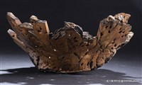 作品 7N771508的圖片