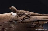 賜福藏品圖，第1張