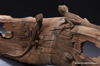 賜福藏品圖，第4張