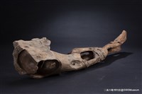 賜福藏品圖，第9張