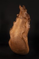 氣韻昇動-煉化藏品圖，第2張