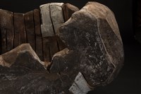 殼藏品圖，第2張