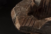 殼藏品圖，第3張