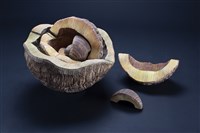 內在的本質藏品圖，第2張