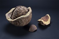 內在的本質藏品圖，第4張