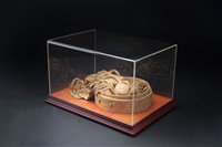 真多樹(蒸多蟹)藏品圖，第2張
