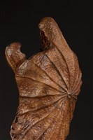 飆舞藏品圖，第4張