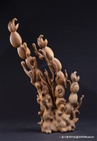 曙光藏品圖，第1張