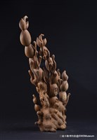 曙光藏品圖，第2張