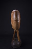 愛聽音樂的魚藏品圖，第3張