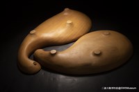 天生一對的圖片