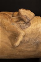 獵人悲歌藏品圖，第3張