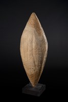 甘甜藏品圖，第1張