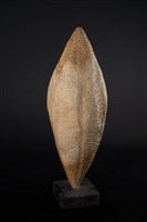 甘甜藏品圖，第4張