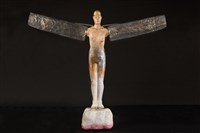 展翅飛翔藏品圖，第1張