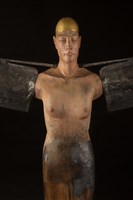 展翅飛翔藏品圖，第2張