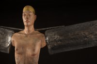 展翅飛翔藏品圖，第4張