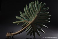 蟬之歌藏品圖，第3張