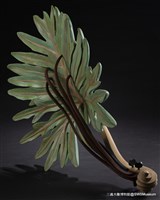 蟬之歌藏品圖，第4張