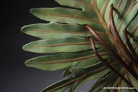 蟬之歌藏品圖，第8張