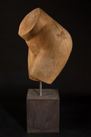 女體(三)藏品圖，第4張