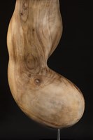 浮生藏品圖，第4張