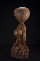 複眼藏品圖，第2張