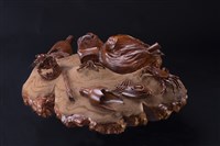 淨灘藏品圖，第2張