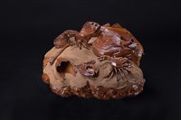 淨灘藏品圖，第3張