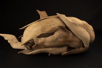 雲想藏品圖，第4張