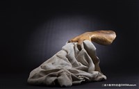 溫柔的力量藏品圖，第2張