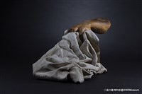 溫柔的力量藏品圖，第4張