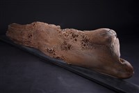 岸湧藏品圖，第2張